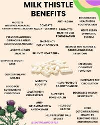 Milk thistle capsules (24 count 00)