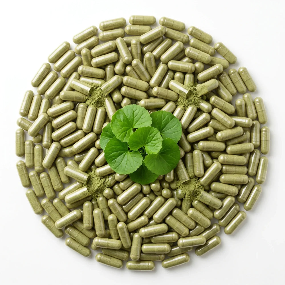 Gotu kola capsules