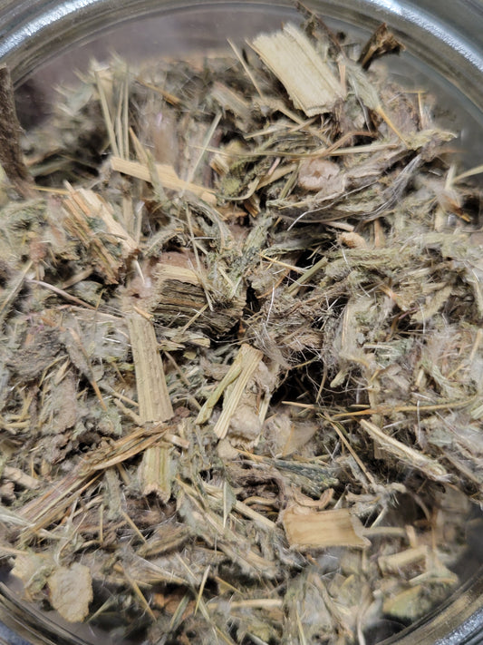 Holy Thistle
